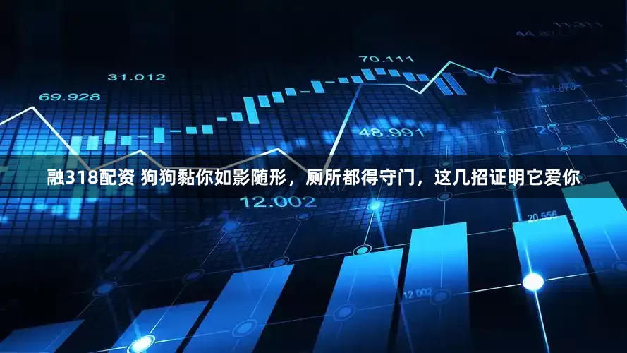 融318配资 狗狗黏你如影随形，厕所都得守门，这几招证明它爱你