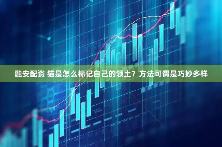 融安配资 猫是怎么标记自己的领土？方法可谓是巧妙多样