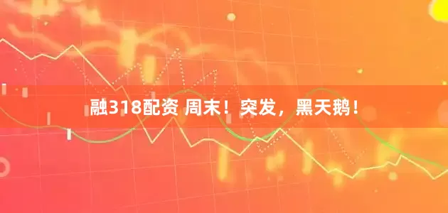 融318配资 周末！突发，黑天鹅！