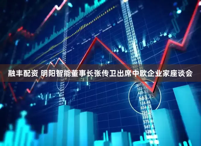融丰配资 明阳智能董事长张传卫出席中欧企业家座谈会
